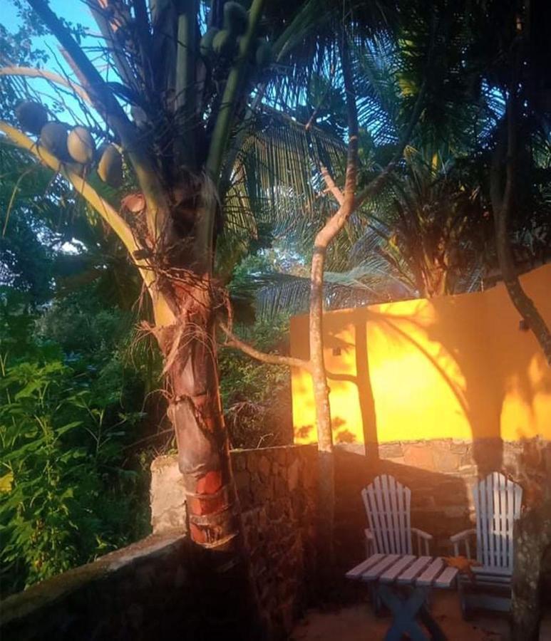 View Guesthouse & Bistro At Goyambokka Тангалла Экстерьер фото