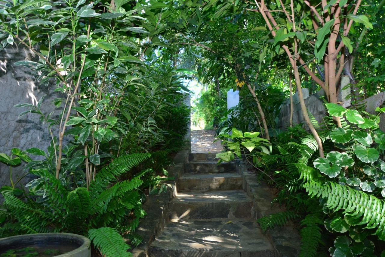 View Guesthouse & Bistro At Goyambokka Тангалла Экстерьер фото
